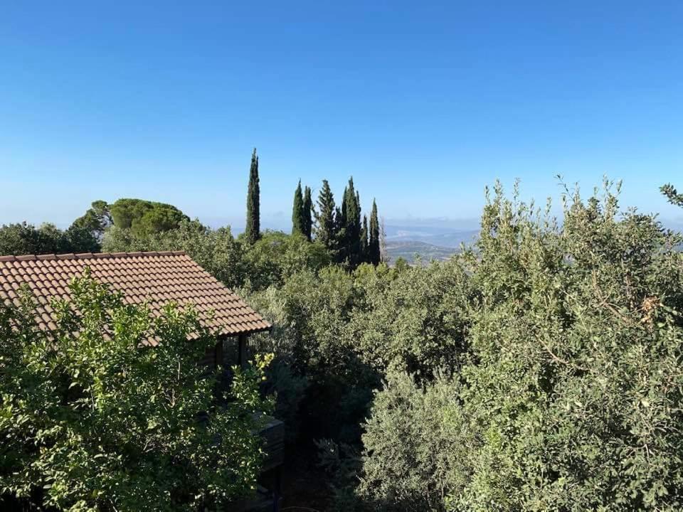 Roof Of The Galilee Villa Amirim Eksteriør billede